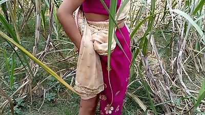जंगल के किनारे गांव की गर्लफ्रेंड जंगल की झाड़ी रास्ते में चोद दिया